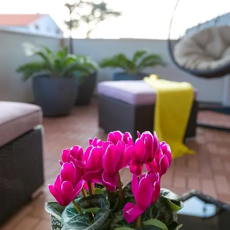 Magnolia Apartman Sukosan